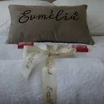 דירה Evmelia קאקופטריה