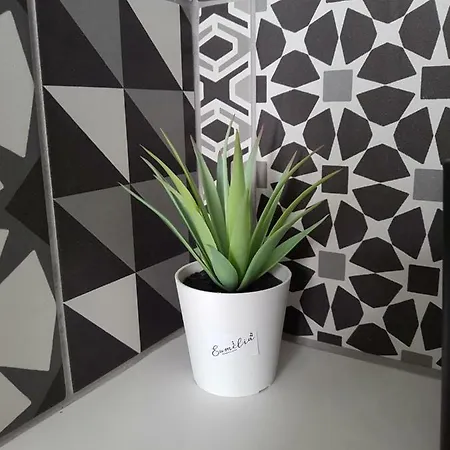 Evmelia Κακοπετριά